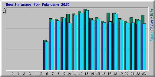 Hourly usage for February 2025