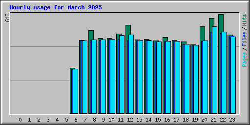 Hourly usage for March 2025
