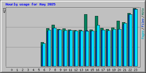 Hourly usage for May 2025