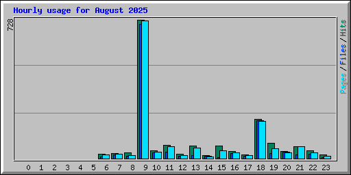 Hourly usage for August 2025