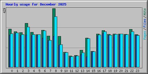Hourly usage for December 2025