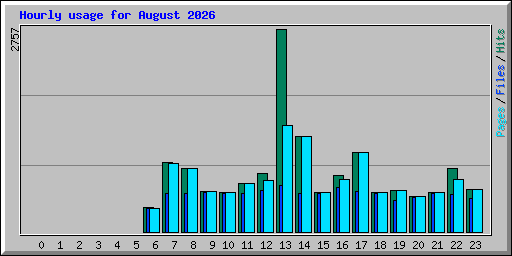 Hourly usage for August 2026
